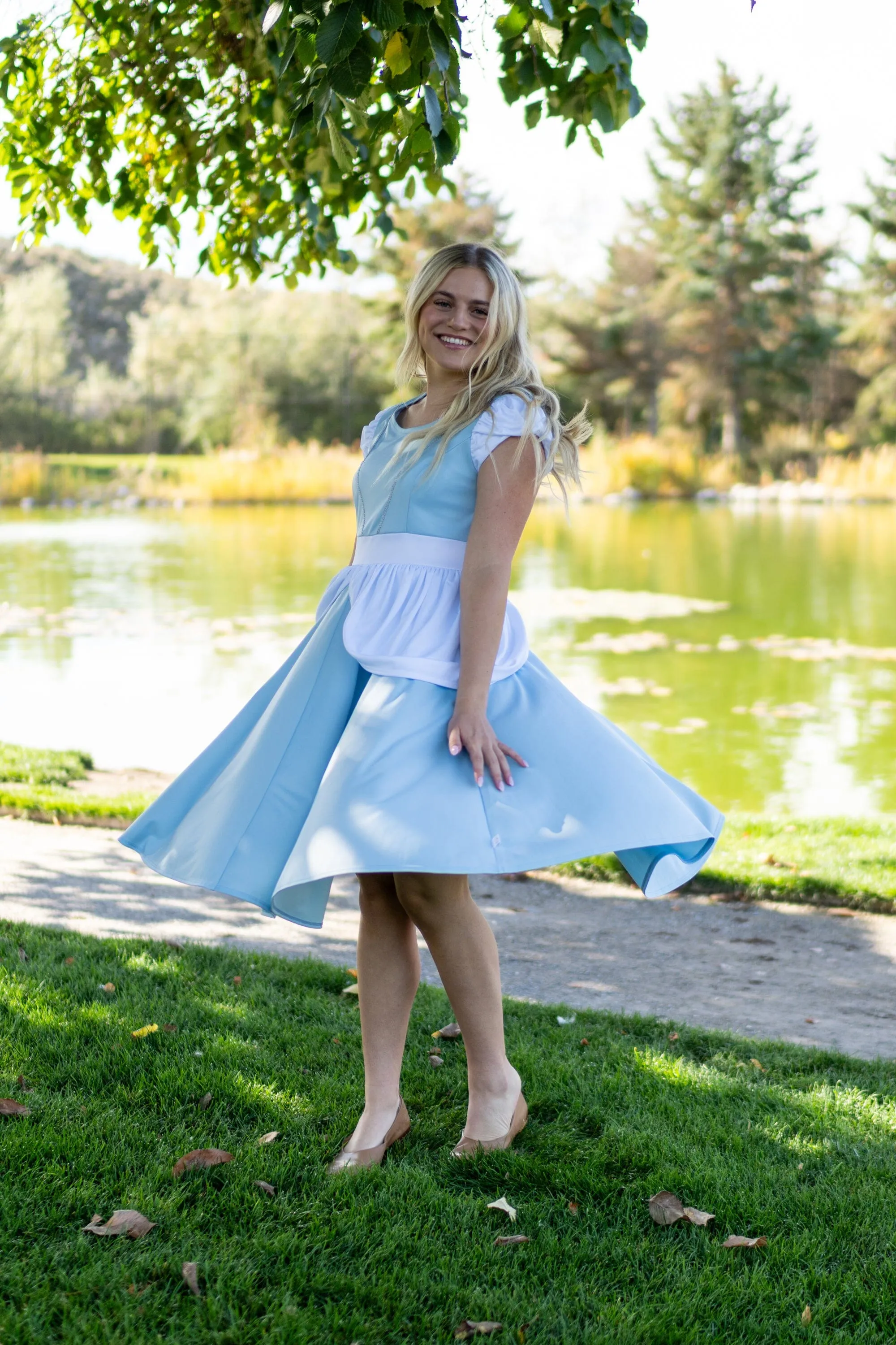 Adult Cinderella Twirl Dress