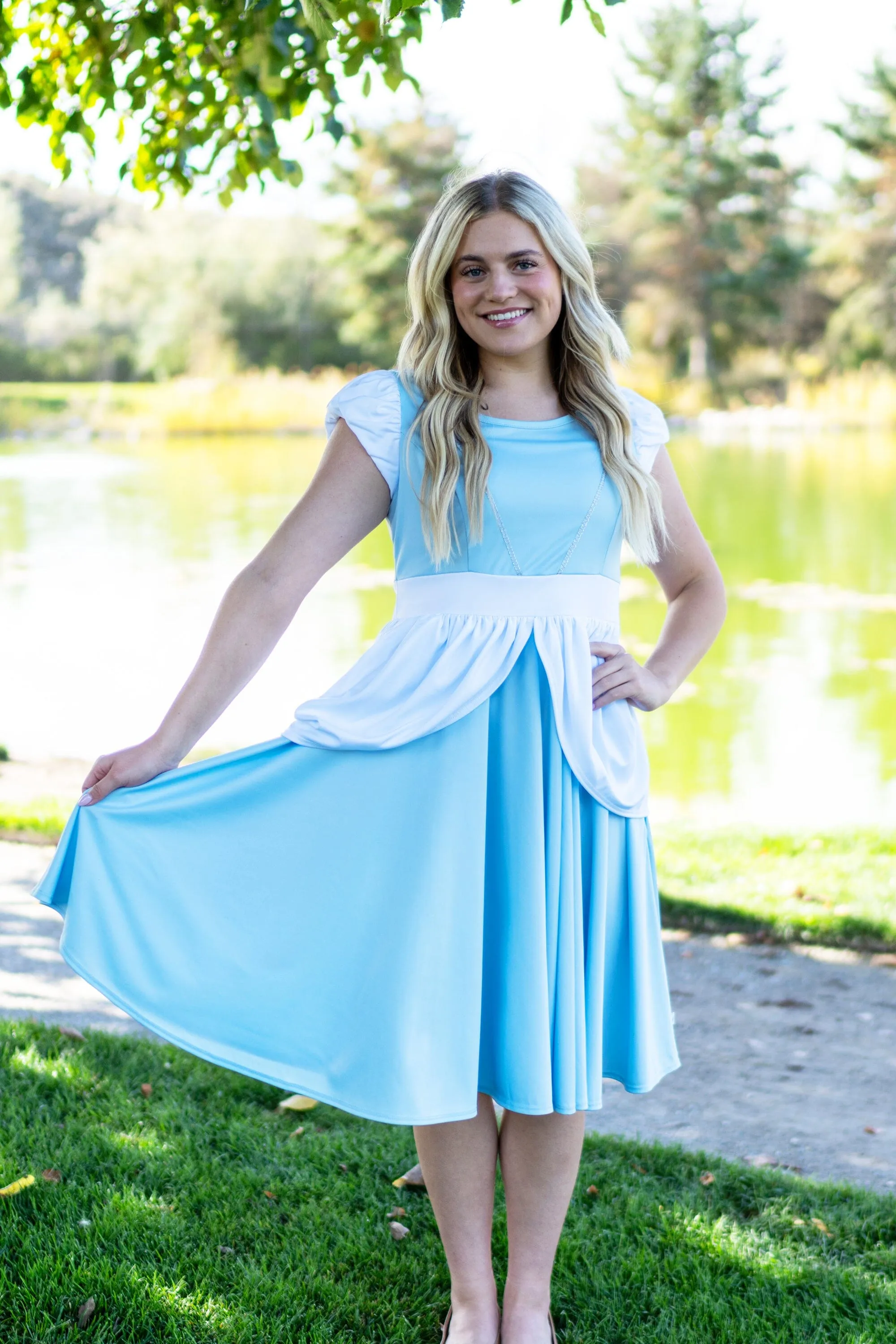 Adult Cinderella Twirl Dress