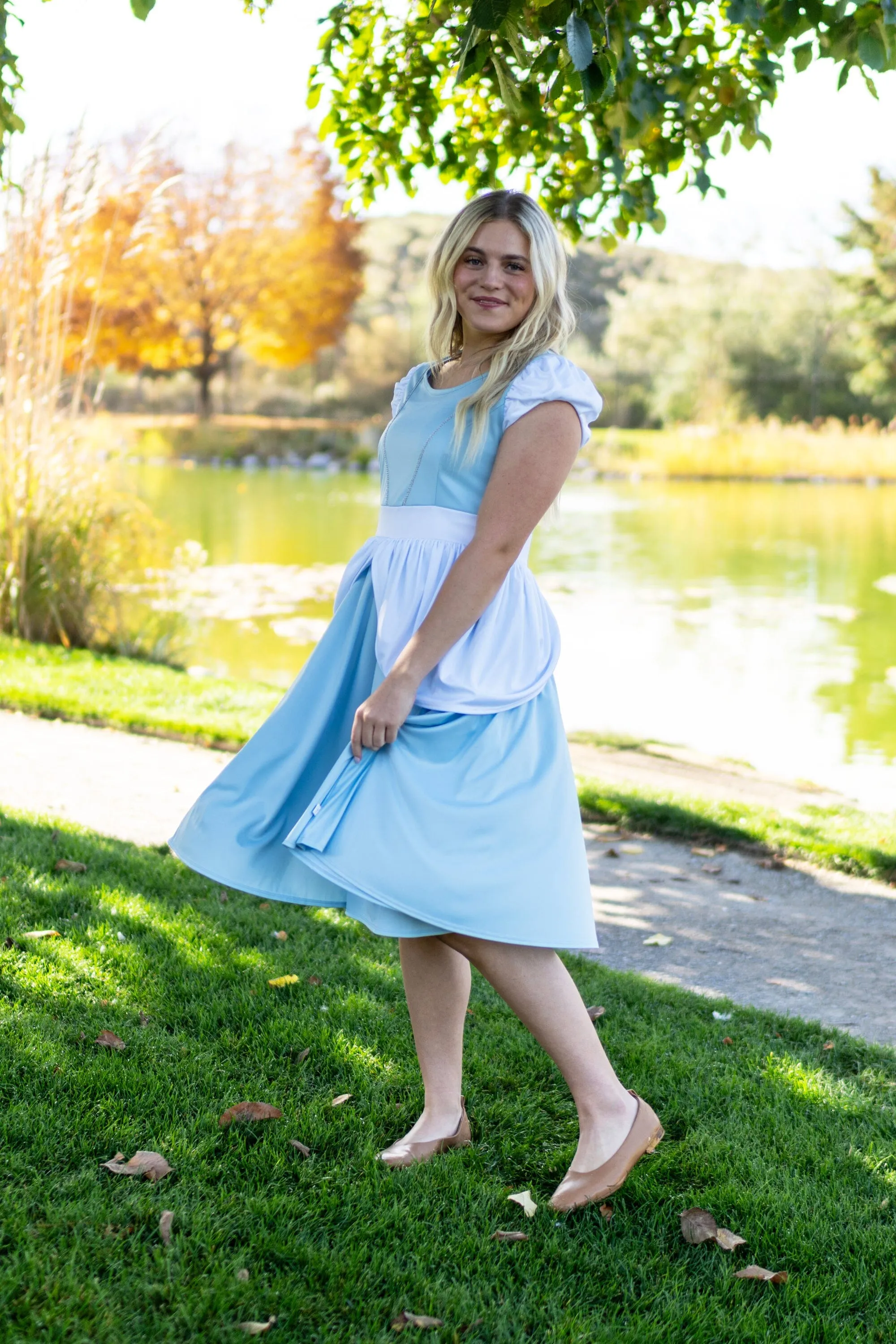 Adult Cinderella Twirl Dress