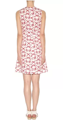 Dainty Printed Dress