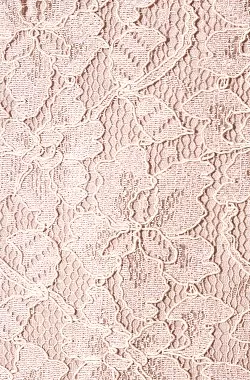 Zarita Lace Dress Pink